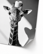 Giraffa WC